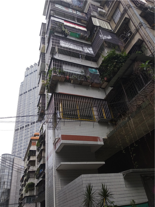 同華西13號