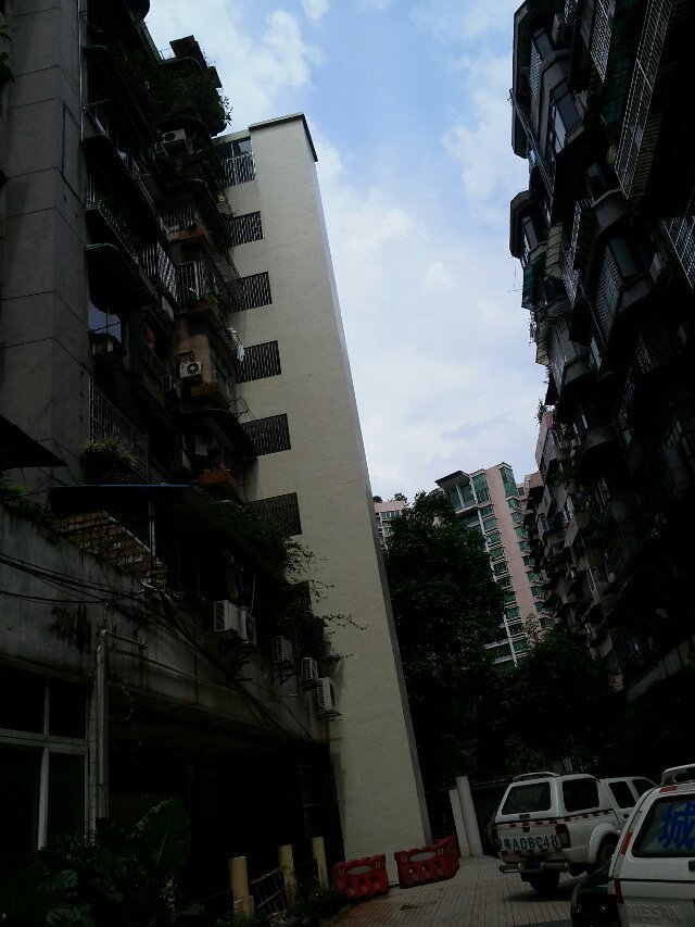 唐園西21號(hào)